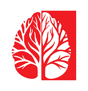 Dinnova
